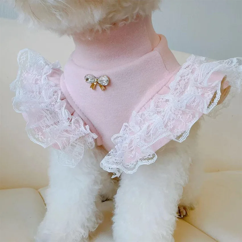Ropa para mascotas, camisa Bas - Lace Teddy Lingerie reseña y precio