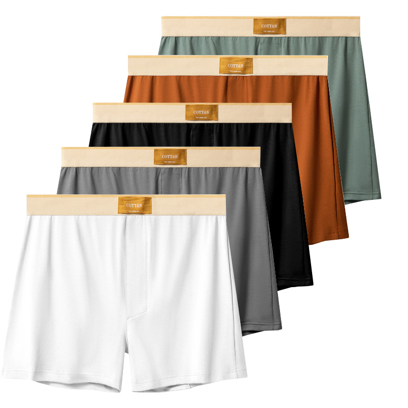 4 Uds. Pantalones con flechas  - Boyshort Underwear reseña y precio